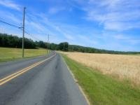 /home//u458753944/public_html/sourcegallery////////////////////////////////////other/races/Charlie Horse 2023/P5280834.JPG